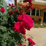 Vilele Liliana 3* Năvodari