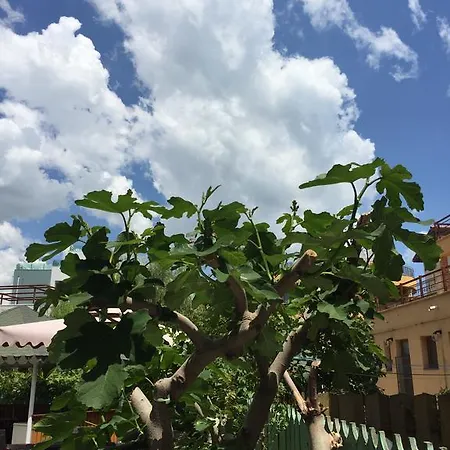 ゲストハウス Vilele Liliana