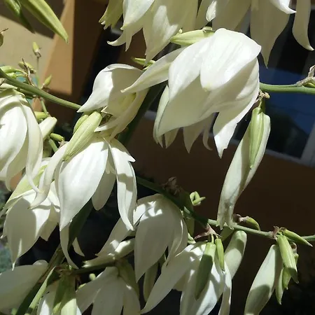 Maison d'hôtes Vilele Liliana 3*