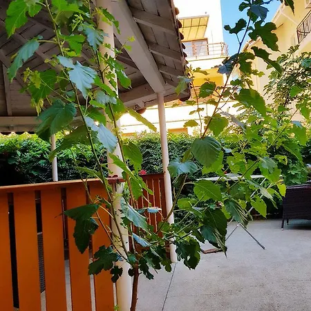 Vilele Liliana Năvodari