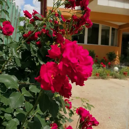 Vilele Liliana 3* Năvodari